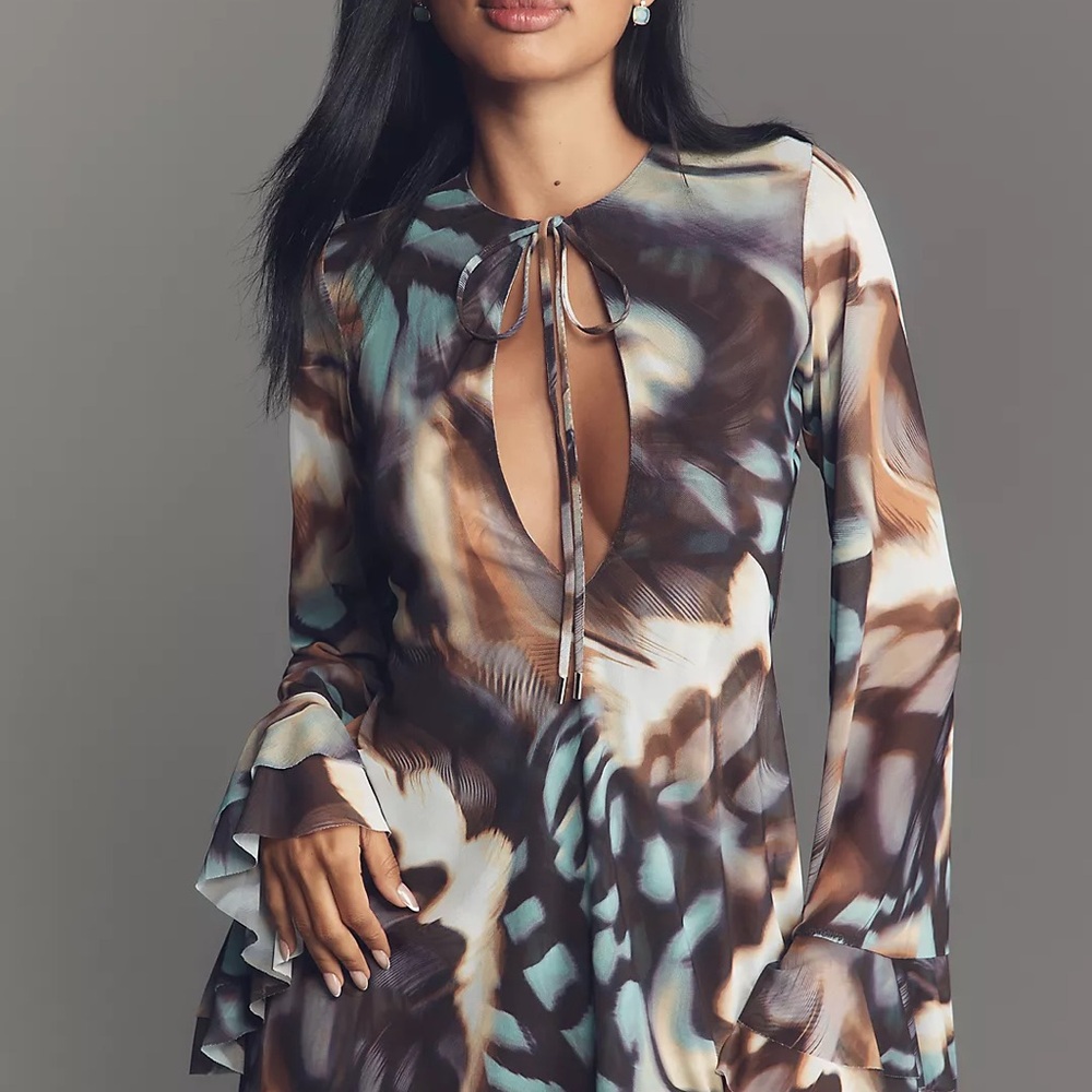 AFRM Kori Long-Sleeve Mesh Ruffled Mini Dress (ANTHROPOLOGIE)